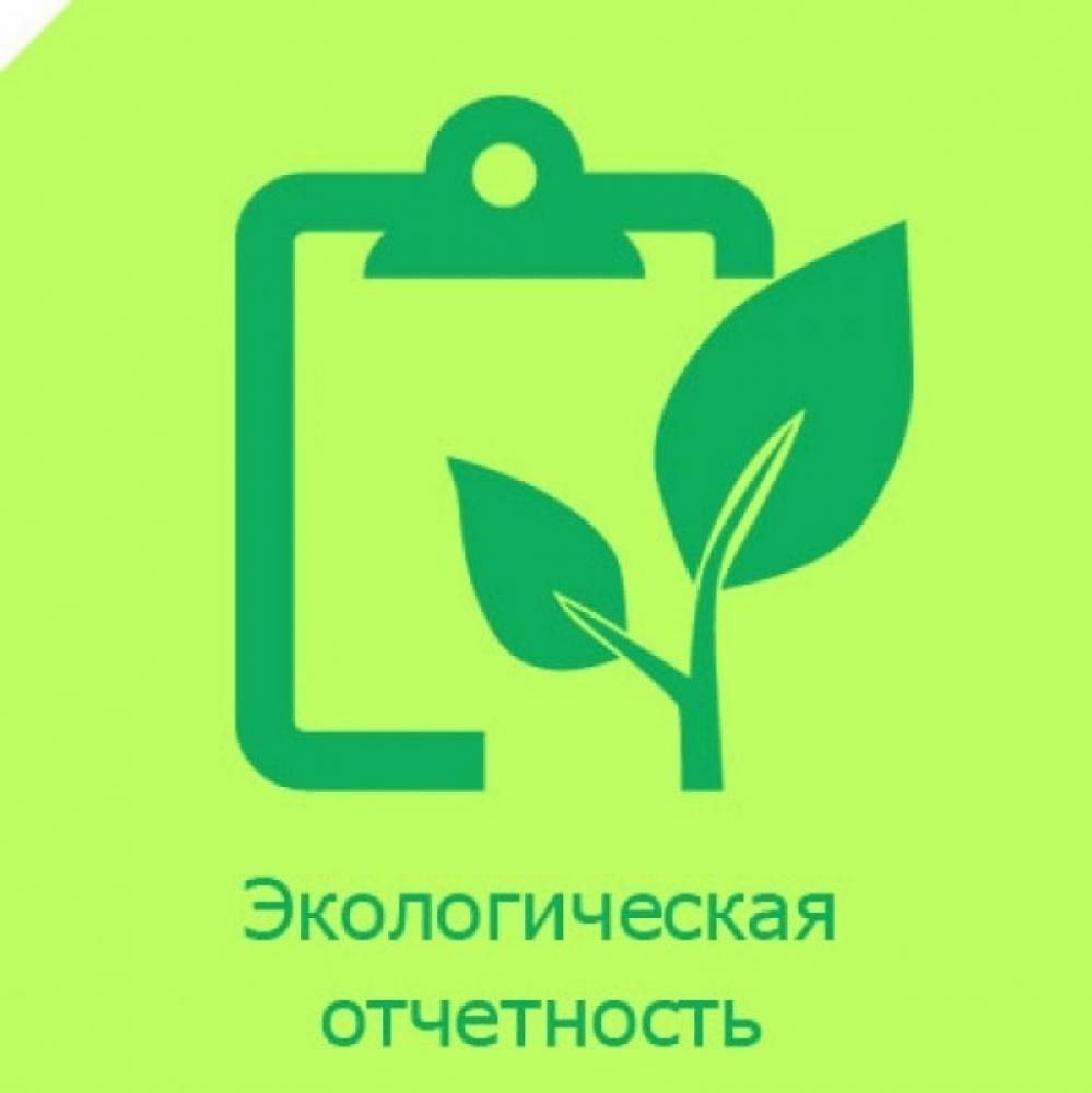 По экологии будет введен новый отчет